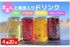 まるんと果実入りドリンク４種20本セット / 田辺市 ドリンク ジュース 果実ドリンク 梅ドリンク きんかんドリンク アセロラドリンク ブルーベリードリンク 梅 きんかん アセロラ ブルーベリー 和歌山県産 沖縄県産 ジュースセット【asr002】