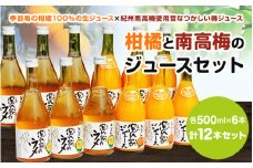 紀州産ミカンジュースと南高梅のジュースセット 季節毎の柑橘ジュース500ml×６本・梅ジュース500ml×６本 / 和歌山 和歌山県産 田辺市 紀州南高梅 梅  梅ジュース みかん みかんジュース 100％ジュース ジュースセット【ktr006-2】