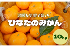 ＜先行予約＞ひなたのみかん 10kg （箱込み）※2025年12月頃に順次発送予定【期間限定・2025/12/25まで】  / みかん 柑橘 田辺市 期間限定 先行予約 ミカン 和歌山 紀州【okm010】