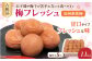 梅フレッシュ