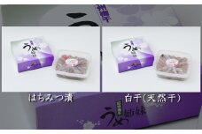 紀州南高うめ姉妹 はちみつ漬（塩分約５％）・白干（塩分約20％～25％）各600g×３個 計3600g  / 田辺市 紀州南高梅 南高梅 梅干し 梅干 梅 うめ 肉厚 お米 おにぎり 焼酎 梅酒 健康 白干し梅 はちみつ梅 セット 食べ比べ 塩分5％ 塩分控えめ【uth005】