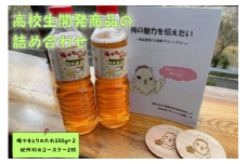 地域の魅力を伝えたい～高校生開発商品の詰め合わせ～Bセット / 田辺市 神島高校 神島屋 神島 コースター 木製コースター 梅製品【ksm001-2】