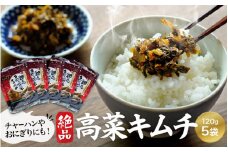 絶品高菜キムチ 600g（120g×5袋セット） / 高菜漬け キムチ 田辺市 ウコン不使用 漬物 つけもの 健康 和歌山 野菜 おつまみ ピリ辛 ごま 生姜【kms008】