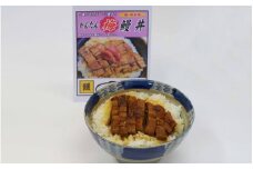 かんたん鰻丼 （梅味）1人前×５食セット　＜湯煎するだけで簡単に鰻丼ができます＞ / 和歌山 田辺市 国産 国産鰻 鰻 うなぎ 鰻丼 うな丼 梅 梅味 簡単 お手軽 かんたん 土用の丑の日 冷凍【ots010】