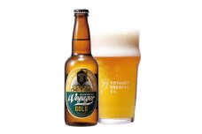 田辺市唯一のクラフトビール  GOLD（アルコール度数5.5％）330ml×12本 / 田辺市 クラフトビール 地ビール 瓶ビール 地酒 ボイジャーブルーイング セット 父の日 ギフト プレゼント 贈り物【bbi006-1】