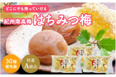 紀州南高梅 はちみつ梅（個包装）10粒×3袋 　計30個 / 和歌山 田辺市 紀州南高梅 南高梅 梅干し 梅干 梅 うめ 肉厚 お米 おにぎり 焼酎 梅酒 健康 はちみつ梅 個包装【nkn002-2】