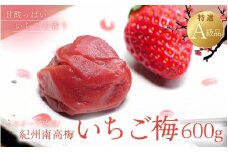 紀州南高梅 いちご梅 600g  / 紀州南高梅 南高梅 梅干し 梅干 梅 うめ 和歌山 田辺市 肉厚 お米 おにぎり 焼酎 梅酒 健康 いちご梅 産地直送【nkn008-2】