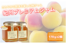 紀州プレミアムジャム2個セット / 田辺市 紀州南高梅 南高梅 梅 梅ジャム ジャム【umy016】