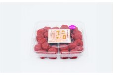 ご家庭用紀州南高梅しそ漬け450g / 田辺市 紀州南高梅 南高梅 梅干し 梅干 梅 しそ梅 しそ漬け 家庭用 お家用【umy021-1】