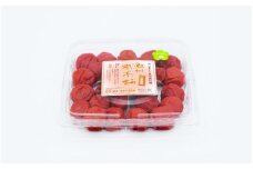 ご家庭用紀州南高梅かつお梅450g / 田辺市 紀州南高梅 南高梅 梅干し 梅干 梅 かつお梅 家庭用 お家用【umy022-1】