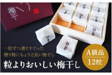 【プレミア和歌山認定品】 粒よりおいしい梅干 (特選）紀州みかん蜂蜜入り12粒入 和紙調個別包装 （塩分約5％） / はちみつ梅干し 梅干し 和歌山 田辺市 紀州南高梅 南高梅 梅 肉厚 大玉 大粒 個包装 みかん蜂蜜 はちみつ【mtz014-1】