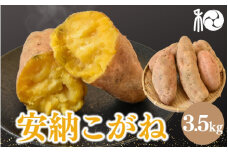 【2025年分予約】『安納こがね』  白皮の安納芋(さつまいも)　3.5kg 【期間限定・先行予約・11月15日まで】※11月下旬～12月上旬頃に順次発送予定 / 安納芋 旬 甘い とろける 希少 田辺市 和歌山 【ngm012-3】