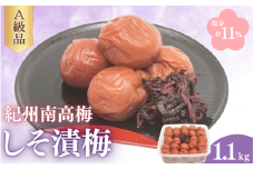 しそ漬梅（塩分約11％）1.1ｋｇ  / 田辺市 紀州南高梅 南高梅 梅干し 梅干 梅 うめ 肉厚 お米 おにぎり 焼酎 梅酒 健康 しそ 紫蘇 しそ漬け【fuz007-1】