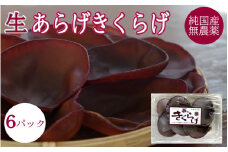 生あらげきくらげ 6パック   / 和歌山 田辺市 きくらげ 生  天然 無添加 栄養豊富 中華料理 サラダ【fzn005】