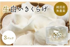 生白いきくらげ ３パック   / 和歌山 田辺市 きくらげ 生  天然 無添加 栄養豊富 中華料理 サラダ【fzn006】