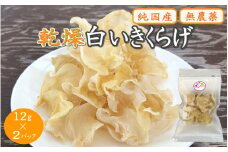 【プレミア和歌山認定品】 乾燥白いきくらげ 12ｇ×2パック / 田辺市 きくらげ 乾燥 天然 無添加 栄養豊富 中華料理 サラダ【fzn012】