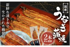 国産うなぎ蒲焼（２本）タレ付き  /  うなぎ 鰻 うなぎ 蒲焼き うなぎ蒲焼 和歌山 田辺市 国産 国産うなぎ 国産鰻 鰻丼 うな丼 土用の丑の日 【ots016】