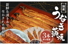 国産うなぎ蒲焼（3本）タレ付き  / うなぎ 鰻 うなぎ 蒲焼き うなぎ蒲焼 和歌山 田辺市 国産 国産うなぎ 国産鰻 鰻丼 うな丼 土用の丑の日 【ots017】