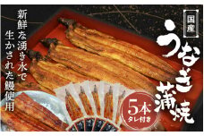 国産うなぎ蒲焼（5本）タレ付き  /  うなぎ 鰻 うなぎ 蒲焼き うなぎ蒲焼 和歌山 田辺市 国産 国産うなぎ 国産鰻 鰻丼 うな丼 土用の丑の日 【ots018】
