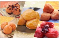紀州南高梅 梅干5種食べ比べセット計1kg（幸梅漬200g・しそかつお梅200g・白干梅200g・馥梅200g・しそ梅200g）  / 田辺市 紀州南高梅 南高梅 梅干し 梅干 梅 うめ 肉厚 お米 おにぎり 焼酎 梅酒 健康  しそ かつお はちみつ 白干し【ikm020】