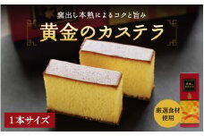 黄金のカステラ 1本サイズ（ハーフサイズ２本入） / 和歌山 田辺市  スイーツ カステラ 洋菓子 黄金 おやつ １本 【ehs006-1】