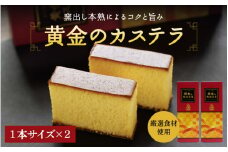 黄金のカステラ 1本サイズ×2本セット（ハーフサイズ4本入） / 和歌山 田辺市  スイーツ カステラ 洋菓子 黄金 おやつ 2本 【ehs007-1】