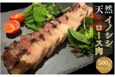 【肉塊】「紀州イノシシ　ロース肉」ブロック500g  / 田辺市 猪肉 イノシシ肉 イノシシ ボタン ロース 塊 肉 ブロック 紀州ジビエ ジビエ【kgs005-1】