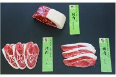 「紀州イノシシ肉」BBQ用セット【5～6人用セット】  / 田辺市 猪肉 イノシシ肉 イノシシ ボタン 肉  紀州ジビエ ジビエ バラ ロース 肩ロース 塊肉 バーベキュー BBQ【kgs008】