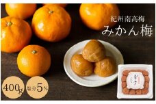 梅干し みかん梅（塩分5％）400g  / 田辺市 紀州南高梅 南高梅 梅干し 梅干 梅 うめ 肉厚 みかん みかん果汁 デザート 温州みかん 梅酒 健康 みかん味 塩分5％ 塩分控えめ 減塩 低塩 【isg014-2】