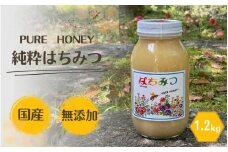 PURE HONEY 純粋はちみつ　1.2kg  / 田辺市 はちみつ ハチミツ 蜂蜜  無添加 国産【nts007-1】