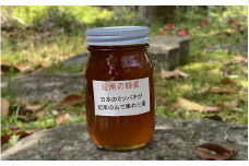純粋日本蜂蜜（紀南の蜂蜜）　600g  / 田辺市 はちみつ ハチミツ 蜂蜜  無添加 国産 山蜜【nts008】