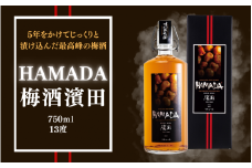 最高峰の梅酒 【五年熟成】梅酒濱田 HAMADA 750ml 13度 金箔入り / 田辺市 梅干し 梅干 梅 うめ 梅酒 酒 紀州産 完熟梅 南高梅 最高級 金箔【isg019-1】