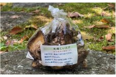 乾燥しいたけ　10袋（合計300g）  / 田辺市 しいたけ シイタケ 椎茸 乾燥 【nts015】