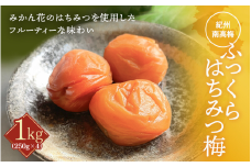 ふっくらはちみつ梅（約250g×4個） / 大容量 はちみつ梅干し 梅干し 和歌山県産 田辺市 紀州南高梅 南高梅 梅干 はちみつ漬け みかんみつ 梅 A級【kfo003-1】