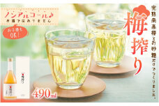 梅搾り（ノンアルコール）490ml 【プレミア和歌山認定品】 / 紀州南高梅 梅干し 梅干 梅 うめ 梅ジュース 和歌山 田辺市 炭酸割り 紀州産 南高梅 完熟梅【isg027-1】