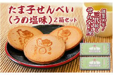 たま子せんべい（うめ塩味）10枚入り×2箱セット / 和歌山 田辺市 お菓子 煎餅 お煎餅 せんべい おせんべい 銘菓 レトロ 梅塩 ギフト プレゼント お土産【tme002】