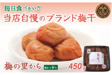 梅の里から450g （塩分９％） / 田辺市 紀州南高梅 南高梅 梅干し 梅干 梅 ご飯のお供【ing015-1】