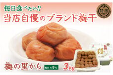 梅の里から3kg  （塩分９％）/ 田辺市 紀州南高梅 南高梅 梅干し 梅干 梅 ご飯のお供【ing026-1】
