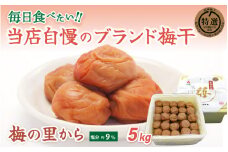 梅の里から5kg （塩分９％） / 田辺市 紀州南高梅 南高梅 梅干し 梅干 梅 ご飯のお供【ing027-1】