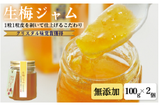 生梅ジャム（100g入2本セット） / 田辺市 紀州南高梅 南高梅 梅  梅ジャム ジャム 【kbe038-1】
