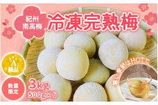 【数量限定】紀州南高梅　冷凍完熟梅2L～3Lサイズ 500g×6p / 田辺市 南高梅 梅 梅酒 梅ジュース 梅シロップ 梅ジャム A級品【mry004-1】