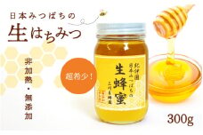 三川養蜂園で採れた日本みつばちの生はちみつ　300g / 和歌山県 田辺市 大塔村 三川地区 日本みつばち ハチミツ 百花蜜 和蜜 蜂蜜 天然 無添加 非加熱 無農薬 国産【otm019】