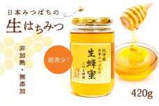 三川養蜂園で採れた日本みつばちの生はちみつ　420g / 和歌山県 田辺市 大塔村 三川地区 日本みつばち ハチミツ 百花蜜 和蜜 蜂蜜 天然 無添加 非加熱 無農薬 国産【otm020】
