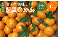＜先行予約＞ 紀州田辺産 甘くて美味しい温州みかん10kg（Ｓ～Ｍサイズ） ※11月中旬～12月下旬頃に順次発送予定【期間限定・12/10まで】 / 早生みかん 早生 ミカン 柑橘 フルーツ 果物 紀州産 和歌山県【kjt006-1】
