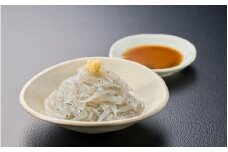 冷凍　生しらす100g×2 / 生しらす丼 丼 お刺身 ポン酢 醤油 小分け シラス 冷凍 生 ギフト お取り寄せ 和歌山県 田辺市 【mst009】