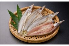 かます開き3～4尾 / カマス 国産 干物 白身 冷凍 新鮮 魚 お取り寄せ 和歌山県 田辺市 【mst018】
