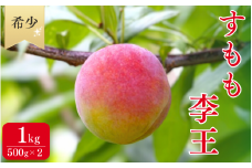 先行予約 すもも（李王）1kg ※6月中旬～7月中旬頃に順次発送予定【期間限定・数量限定・2025/6/20まで】 / スモモ お取り寄せ 期間限定 夏 フルーツ 果物 希少 冷蔵 和歌山県 田辺市【mtm001-1】