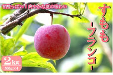 先行予約 すもも（フランコ）2kg  ※6月中旬～7月中旬頃に順次発送予定【期間限定・2025/6/20まで】 / スモモ お取り寄せ 期間限定 夏 フルーツ 果物 サンタローザ 和歌山県 田辺市【mtm003-1】