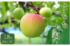 先行予約 すもも（大石）1.8kg（450g×4P） ※5月下旬～6月中旬頃に順次発送予定【期間限定・2026/5/31まで】 / スモモ お取り寄せ 期間限定 夏 フルーツ 果物  和歌山県 田辺市【mtm006-2】