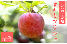 先行予約 こだわり栽培のすもも（フランコ）1kg ※6月中旬～7月中旬頃に順次発送予定【期間限定・2025/6/20まで】 / スモモ お取り寄せ 期間限定 夏 フルーツ 果物 サンタローザ 和歌山県 田辺市【mtm007-1】